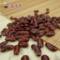 Granos de riñón rojos británicos orgánicos Granos de riñón rojos oscuros Variedad de Shanxi 180-200pcs / 100g